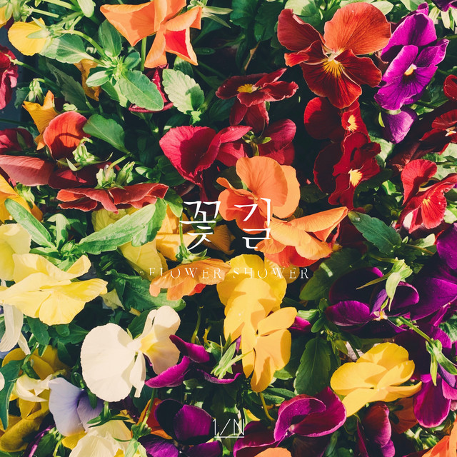 FLOWER SHOWER cover art