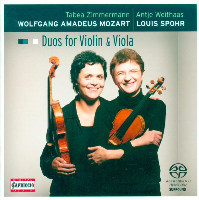 Duo for Violin and Viola in E Minor, Op. 13: II. Adagio