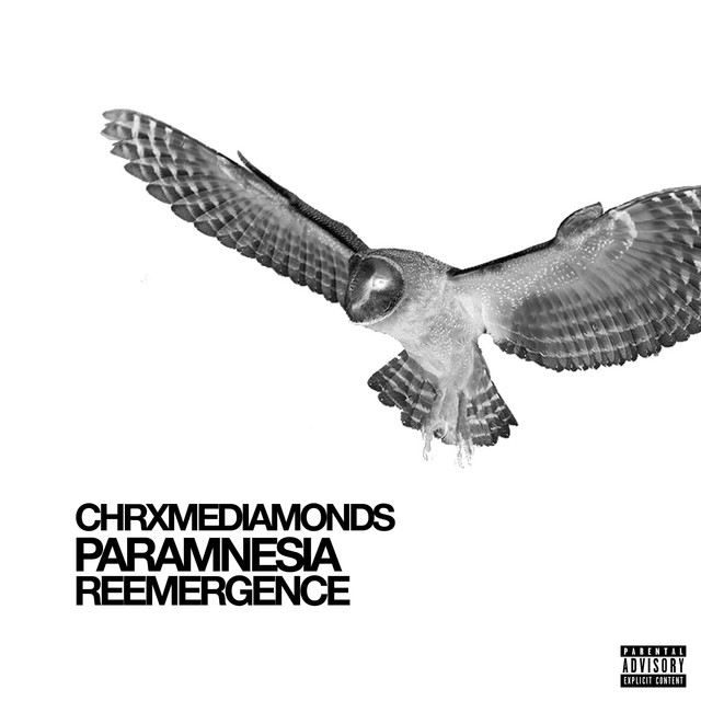 PARAMNESIA: REEMERGENCE cover art