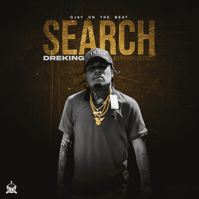 Search cover art