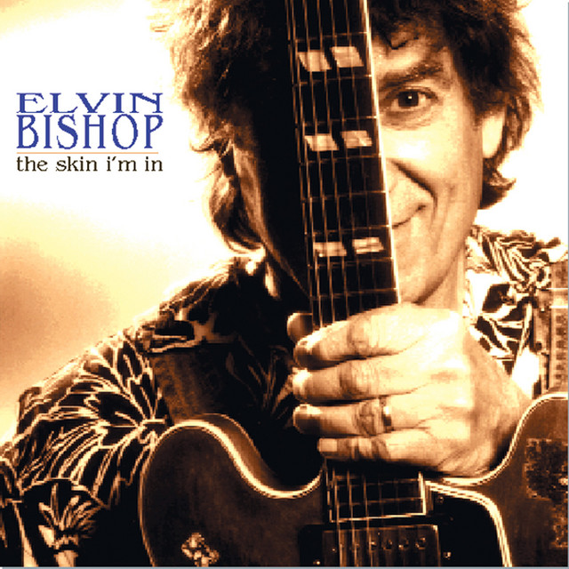 The Skin I'm In cover art