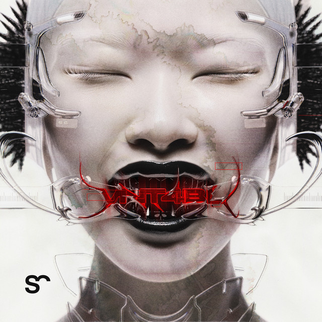 VNT4BL cover art