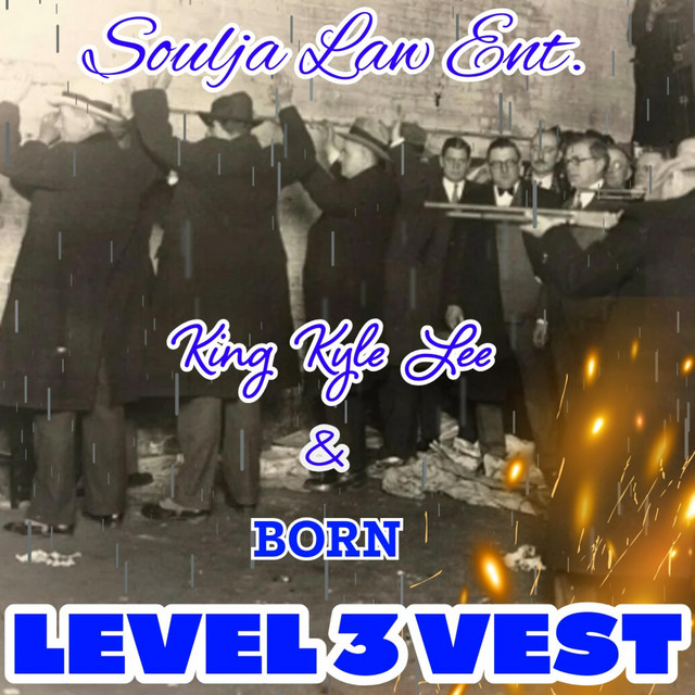 Level 3 Vest