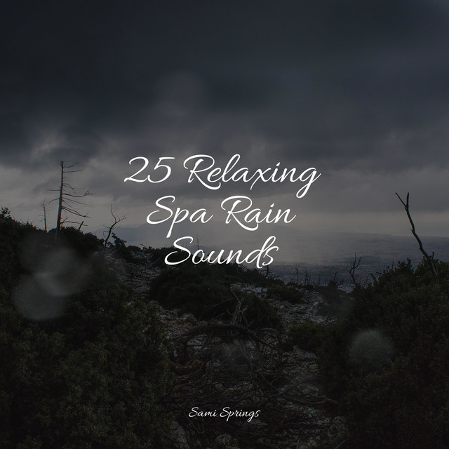 25 Calming Rain Sounds for Sleep and Serenity - Album by Nature ...