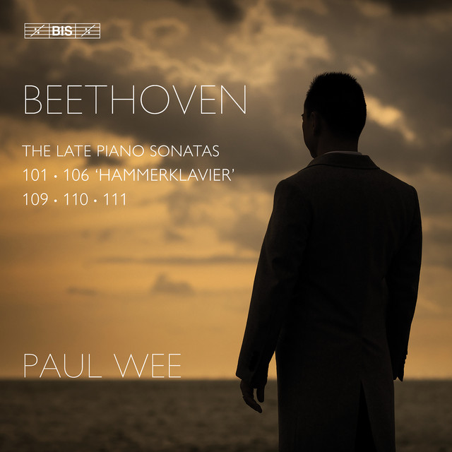 Beethoven: Piano Sonata No. 31 in A-Flat Major, Op. 110: II. Allegro molto