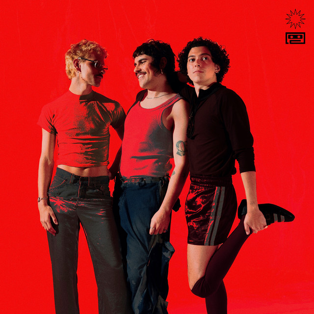 Camisa do Flamengo cover art