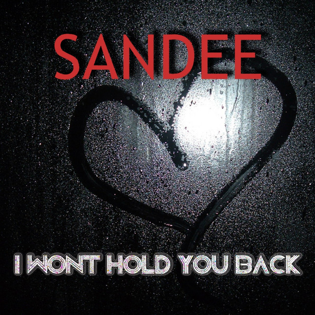 I Won't Hold You Back - Extended Mix cover art