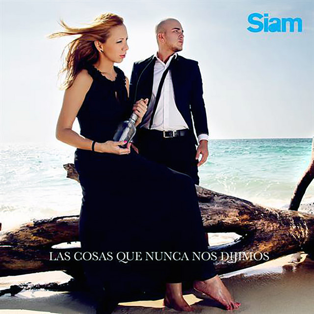 Las Cosas Que Nunca Nos Dijimos cover art