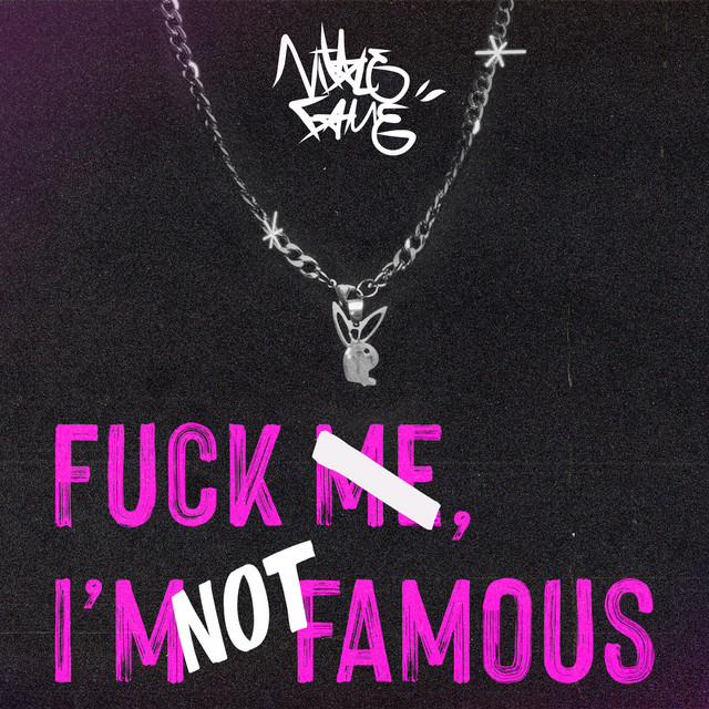 Fuck, I'm Not Famous cover art