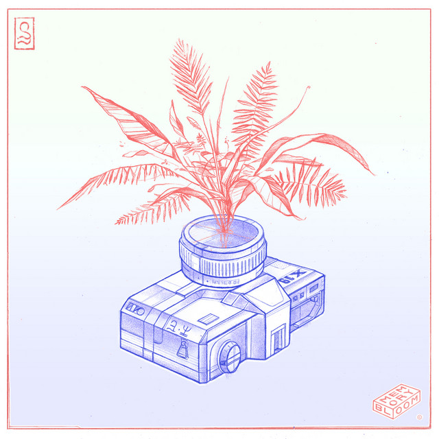 Memory Bloom cover art