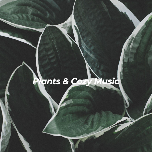 Plants & Cozy Music cover art