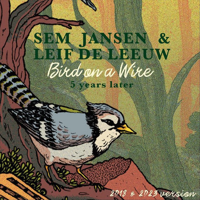 Bird on a Wire - Single by Sem Jansen | Spotify