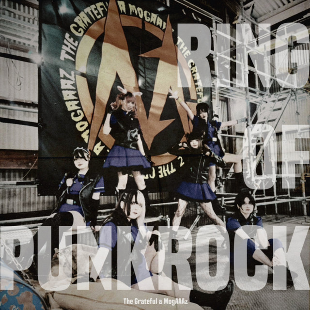 RING OF PUNKROCK cover
