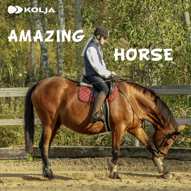 Amazing Horse - Metal version