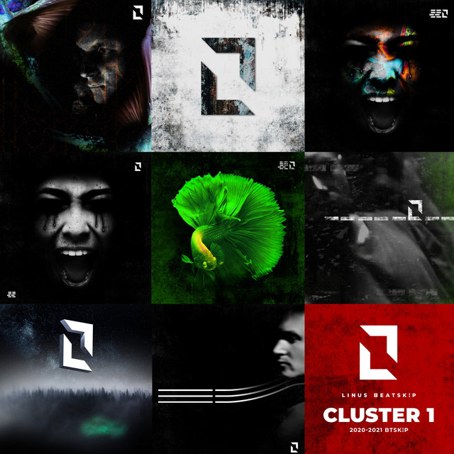 Cluster 1 (2020-2021 Btskip) cover art