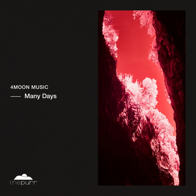 Many Days - Extended Mix album art