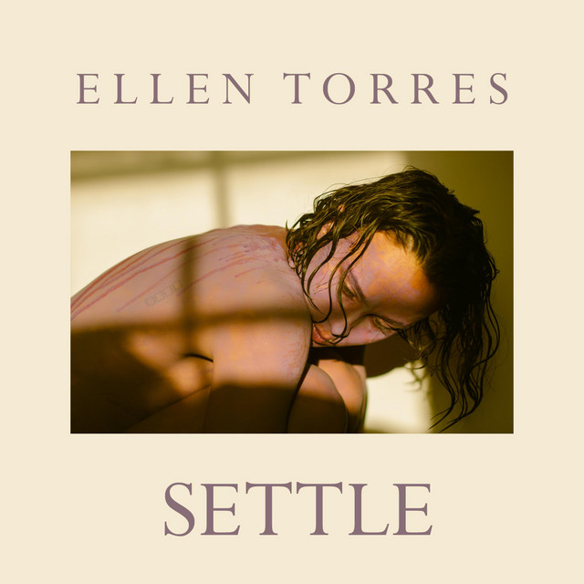 Settle cover art