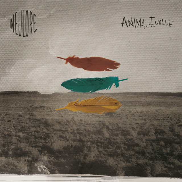 Animal Evolve cover art
