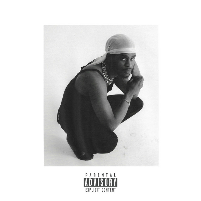 Fire cover art