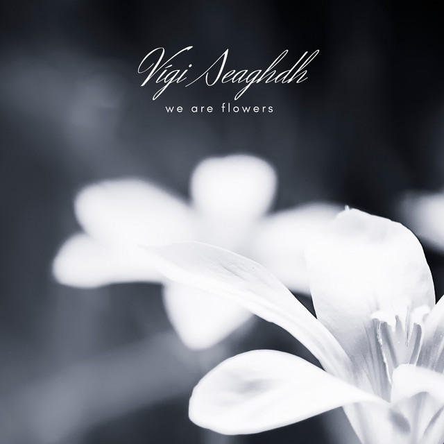 We Are Flowers by Vígi Seaghdh