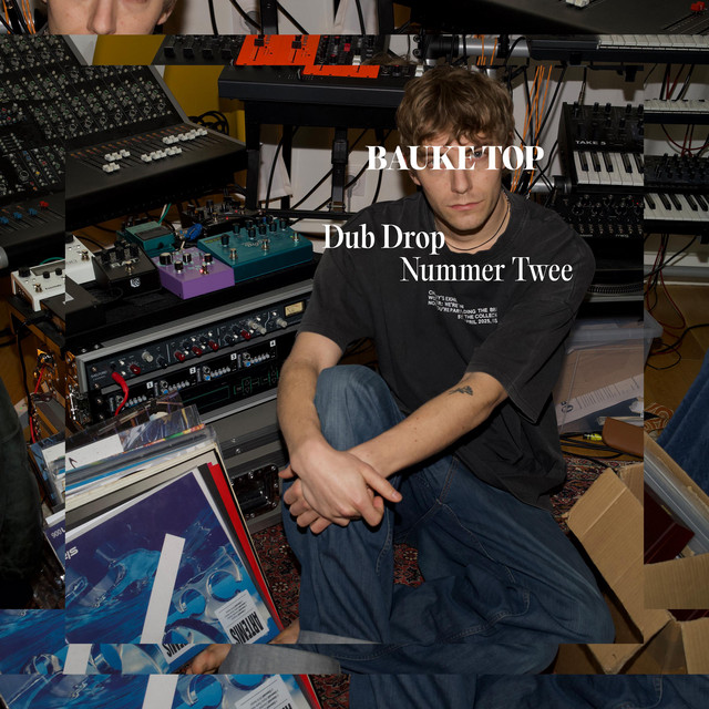 Dub Drop Nummer Twee album image