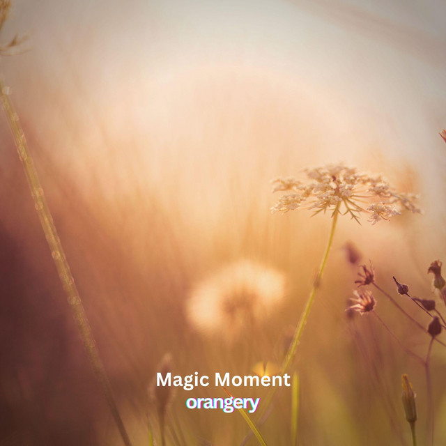 Обкладинка: Magic Moment — orangery