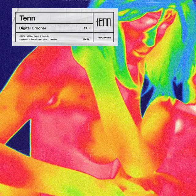 Digital Crooner cover art