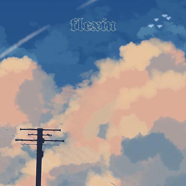 FLEXIN cover art