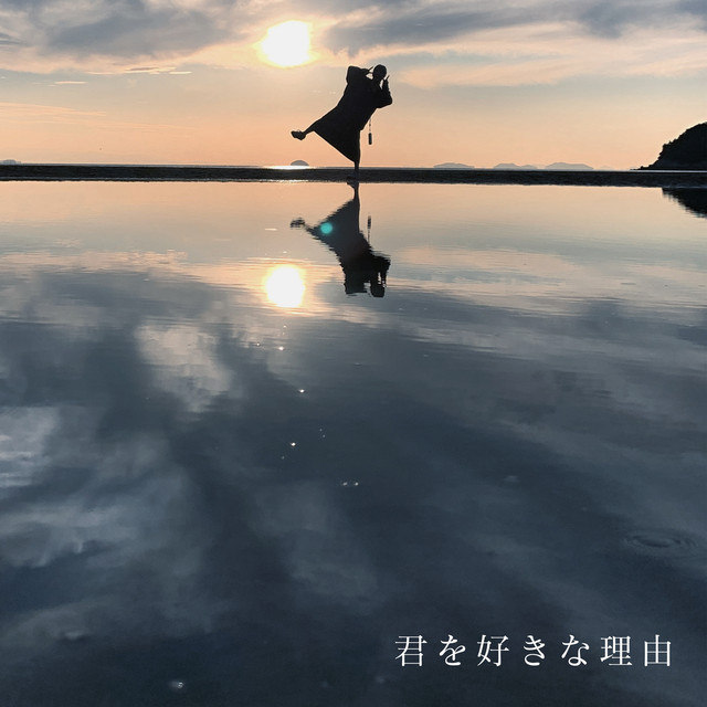 君を好きな理由 album image