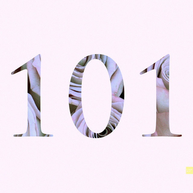 101 cover art