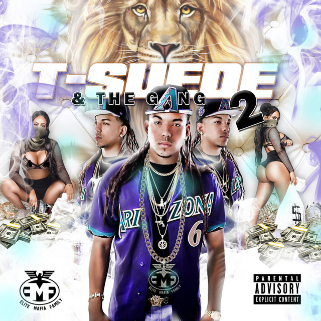 T-Suede & the Gang 2 cover art