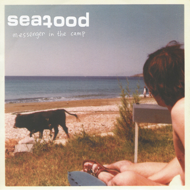 Messenger In The Camp cover art