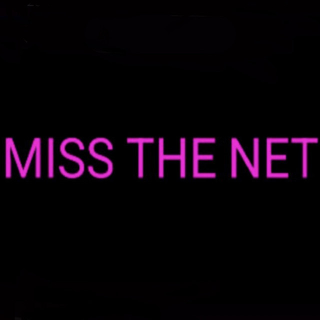 Miss The Net cover art