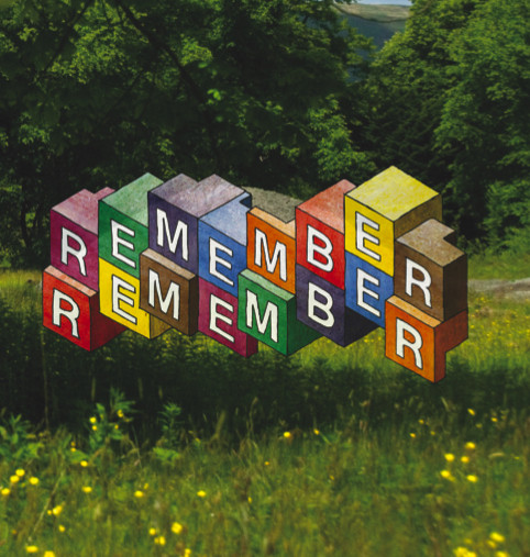 Remember Remember cover art
