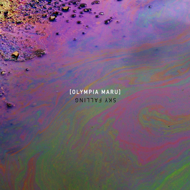 Sky Falling album image