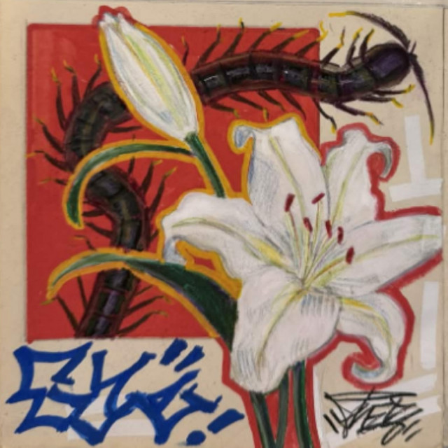 everything cover art
