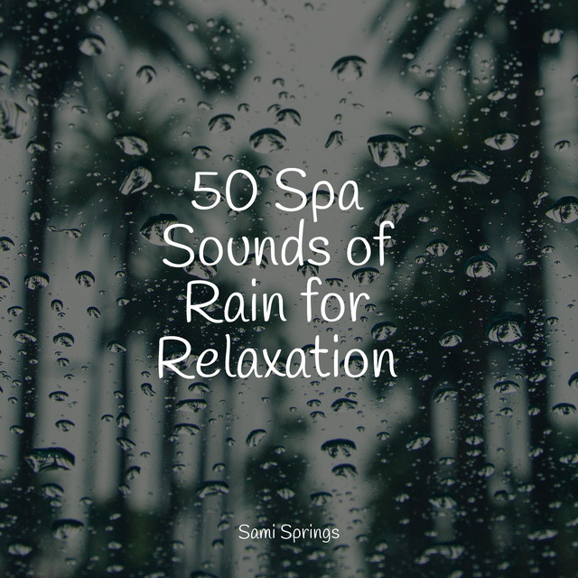 50 Spa Sounds of Rain for Relaxation - Album by White Noise Sound ...