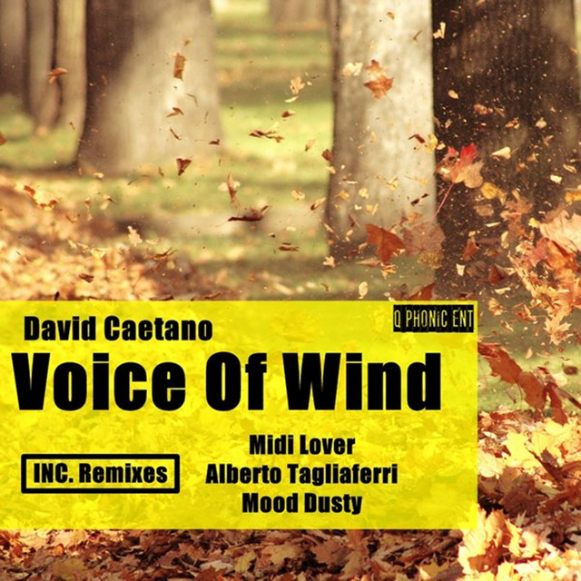 Voice of Wind - Midi Lover Remix cover art