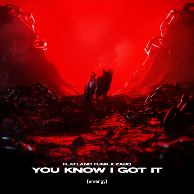 You Know I Got It album art