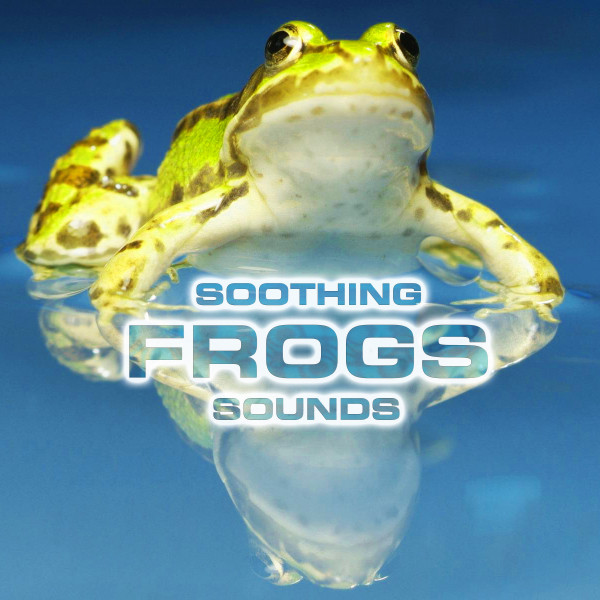 Soothing Frogs Sounds