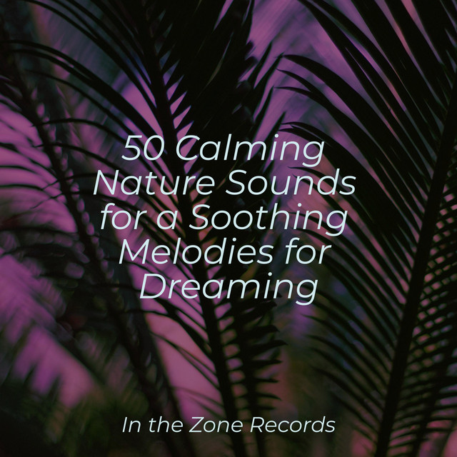 50 Calming Nature Sounds for a Soothing Melodies for Dreaming - Album ...