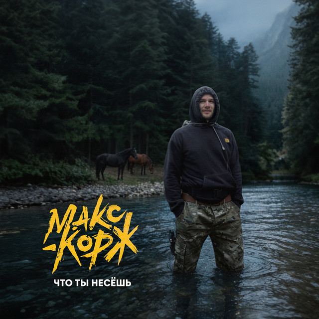Что ты несёшь cover art
