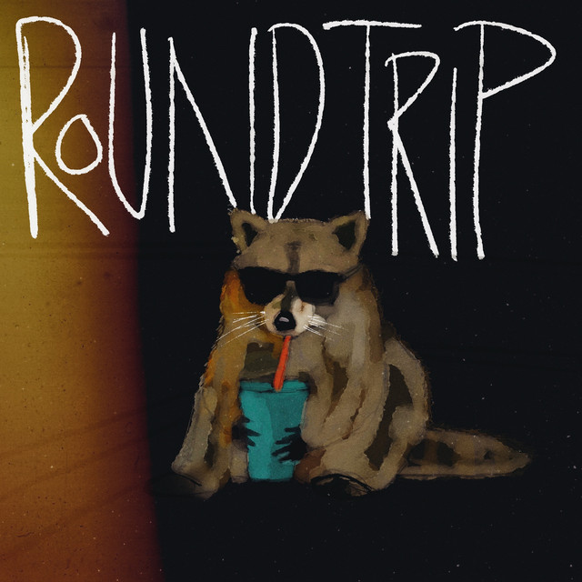 Roundtrip album image