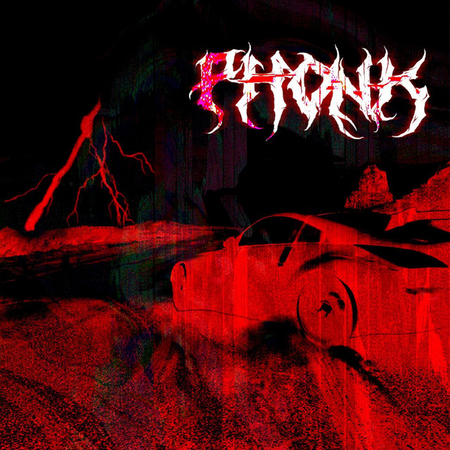 BRINGBACKPHONK