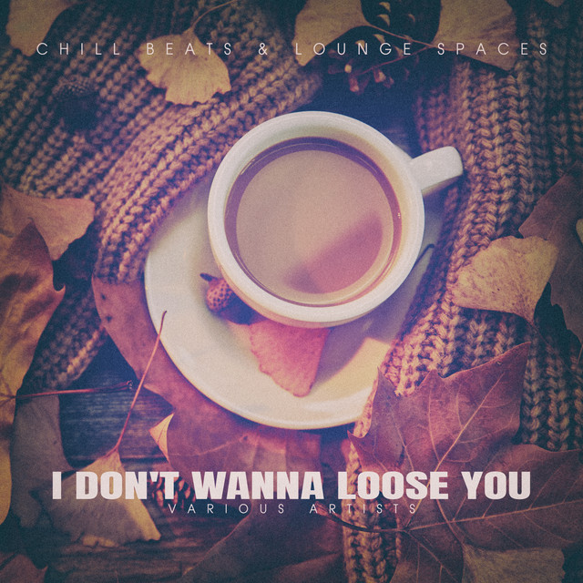 I Don't Wanna Loose You cover