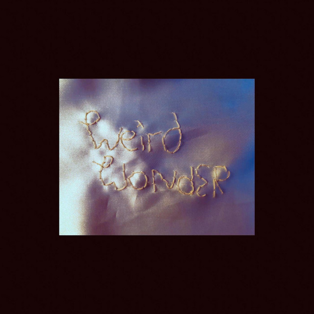Weird Wonder cover