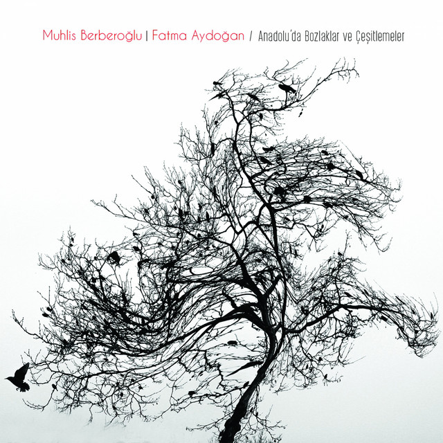 Anadolu'da Bozlaklar ve Çeşitlemeler cover art