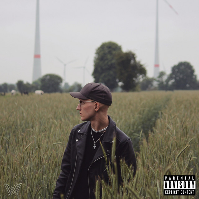 Where is my Mind cover art