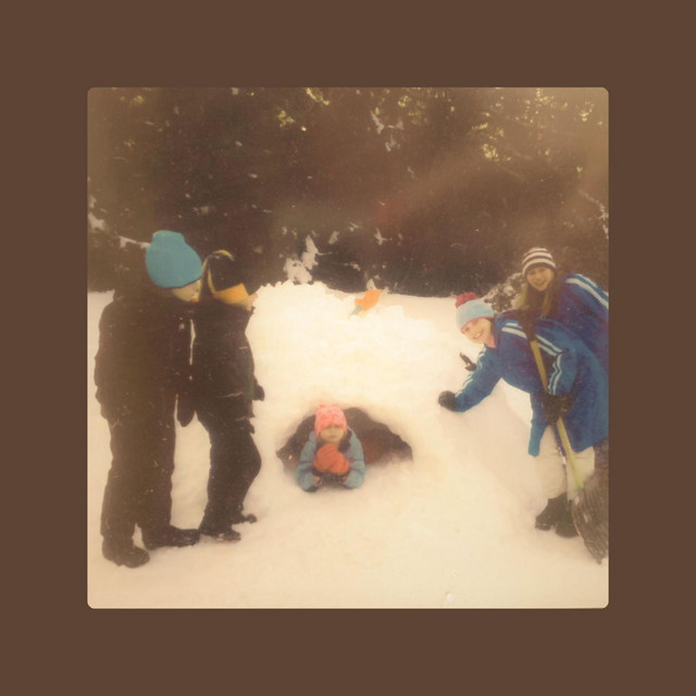 Snow cover art