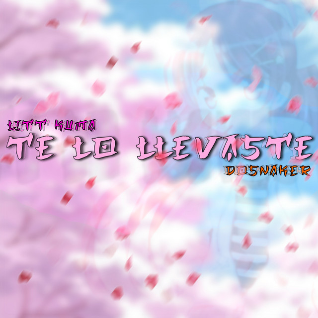 Te Lo Llevaste